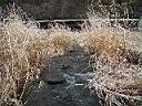 2007-04-22 050.JPG